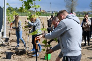 Zdjęcie -  Wizyta studentów w firmie Livello - Benix oraz akcja sadzenia drzew 