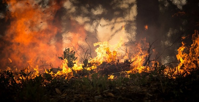   Pożar lasu w Pustkowiu Kierzeńskim