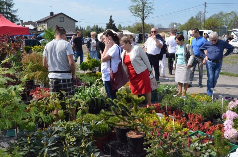  Wiosenne targi ogrodnicze odbyły się w Wieruszowie 