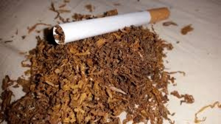  Susz tytoniowy oraz papierosy bez akcyzy