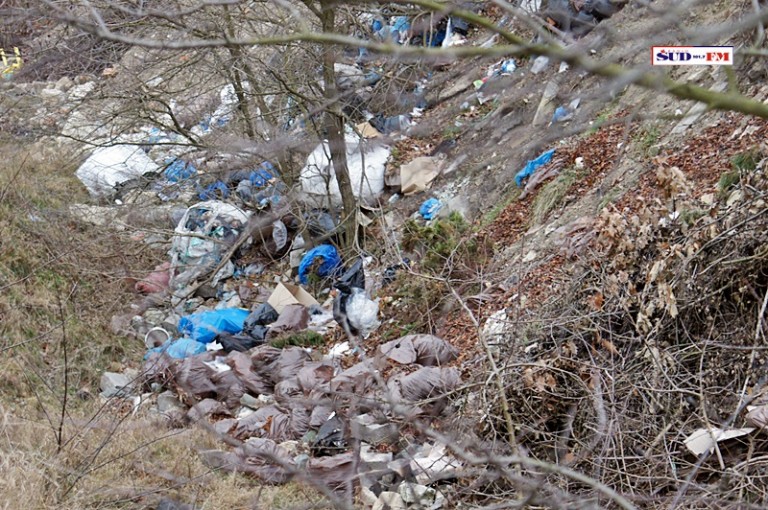  Czy radny Rady Miasta wyrzucał nielegalnie śmieci?