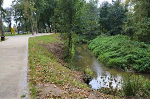  Zrewitalizowany park pomiędzy Prosną a Niesobem w Wieruszowie
