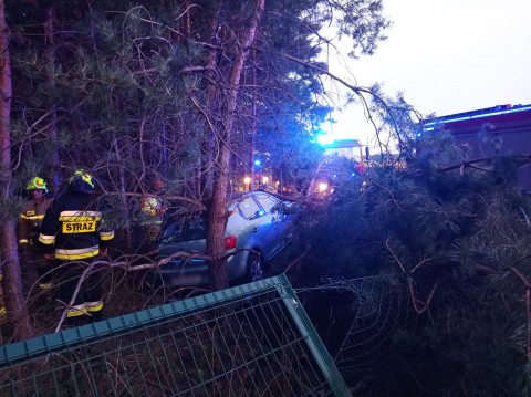  Samochód osobowy uderzył w drzewo