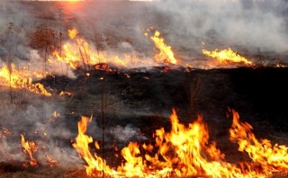  Pożar trawy na nieużytkach przy ul. Granitowej 