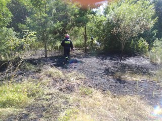  Strażacy gasili poszycie leśne