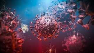  6 kolejnych zachorowań na koronawirusa w powiecie kępińskim