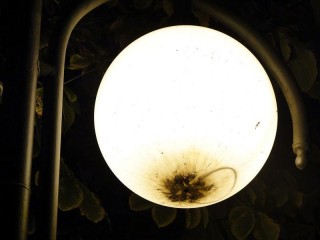 Zdjęcie -  Pierwsza gmina informuje o wyłączeniu oświetlenia w nocy z powodu coraz wyższych kosztów 