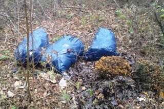  29-latek wywoził śmieci do lasu