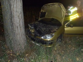  Samochód uderzył w drzewo, kierująca w szpitalu 